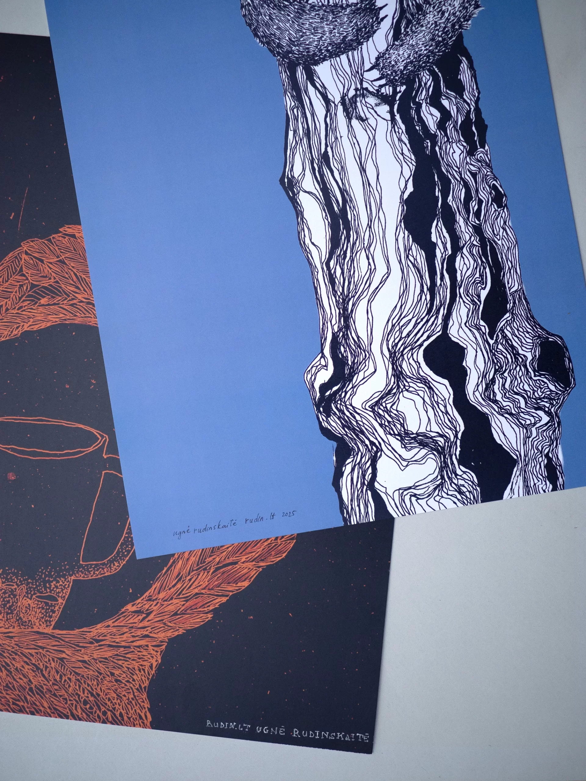 printai A3 kalėdiniai šventiniai spalvoti iliustracijos rudinskaitė