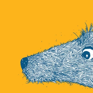 printai A3 kalėdiniai šventiniai spalvoti iliustracijos rudinskaitė