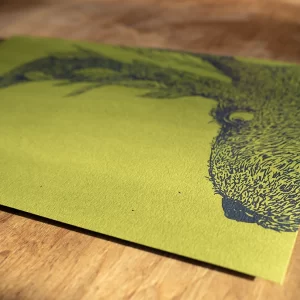 iliustracijos A3 aukštos kokybės printai ant spalvoto popieriaus rudinskaitė