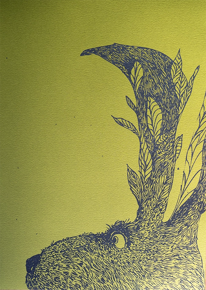 iliustracijos A3 aukštos kokybės printai ant spalvoto popieriaus rudinskaitė