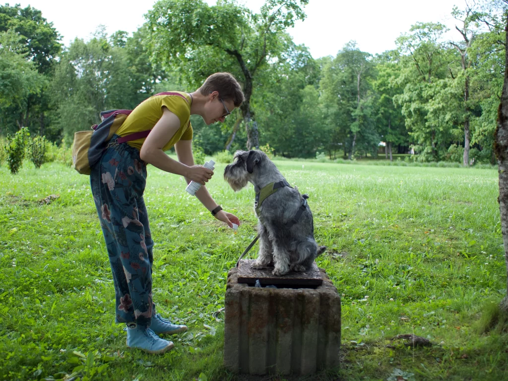mitelsnauceris, liepaja, keliones, 2025, paroda