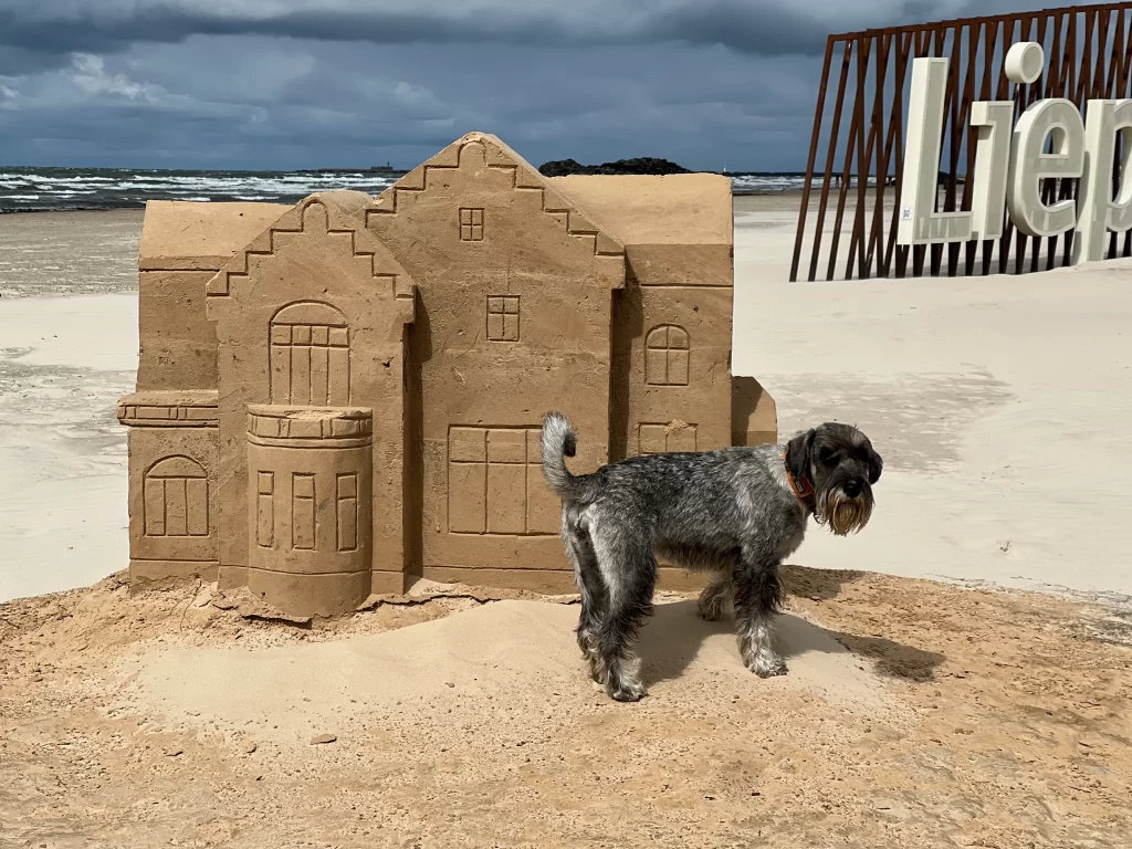 mitelsnauceris, liepaja, keliones, 2025, paroda