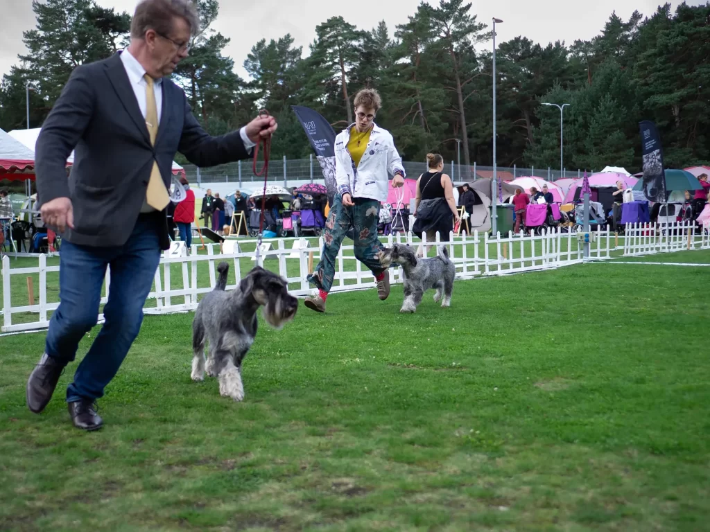 mitelšnauceriai Palangos tarptautinė paroda 2025