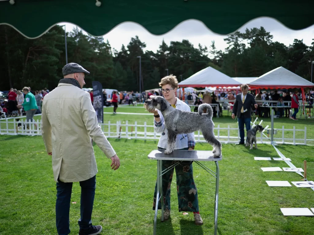 mitelšnauceriai Palangos tarptautinė paroda 2025