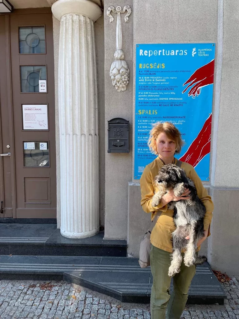 mitelšnauceris šuniukai teatras