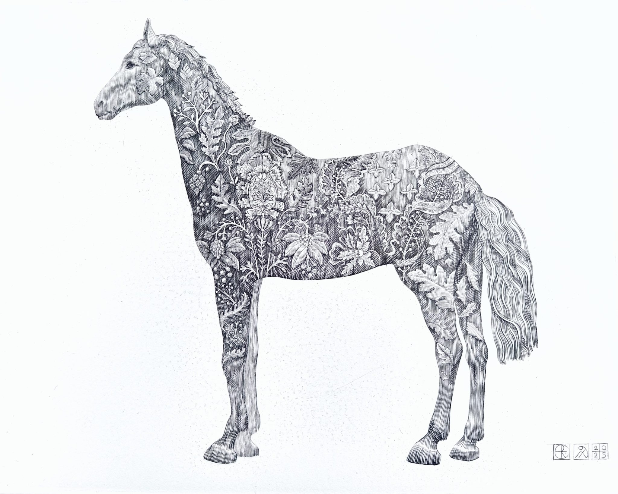 egidijus rudinskas grafika piešiniai arklys vario graviūra