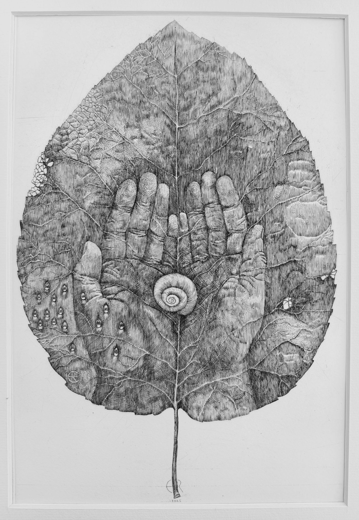 egidijus rudinskas grafika vario graviūra lapas