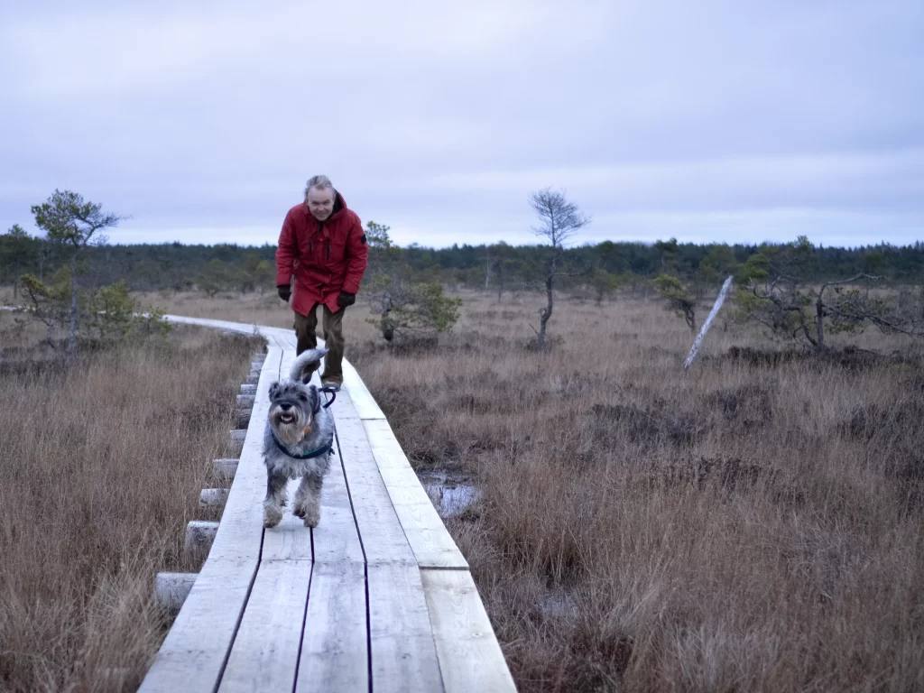 Dunikos pelkės takas. Mitelšnauceris