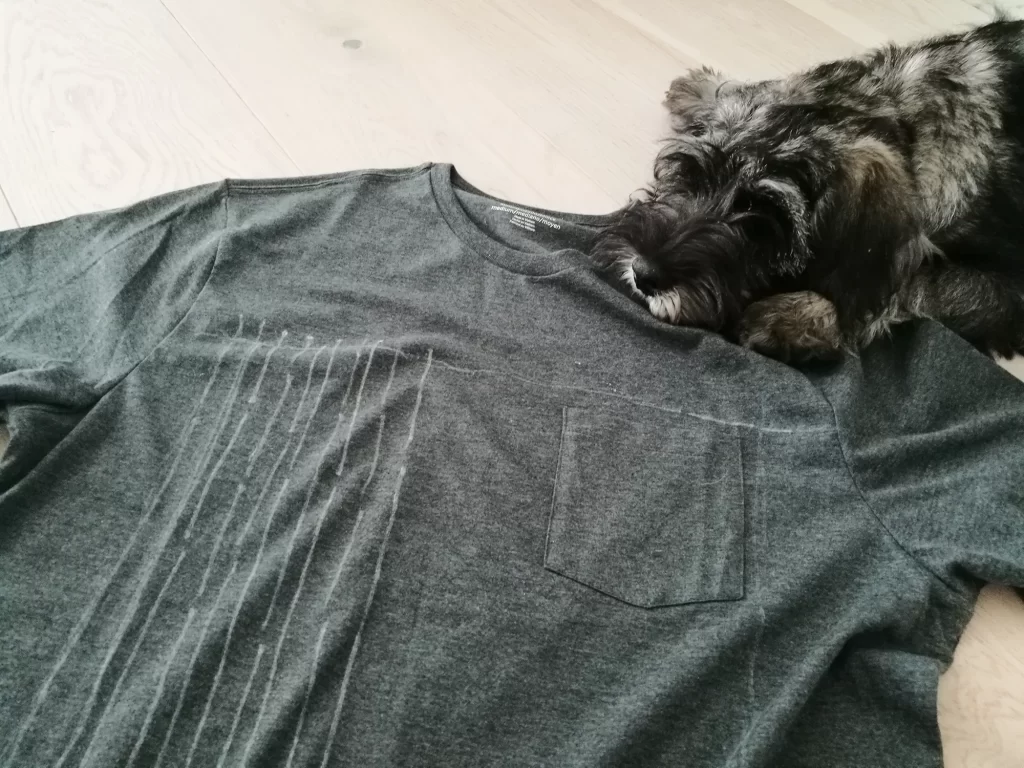 spauda ant tekstilės ant marškinėlių jūra laivai paukščiai ctrl z prata vetra palangos foto centras