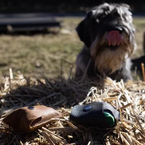 odinis maišelių | skanėstų dėklas