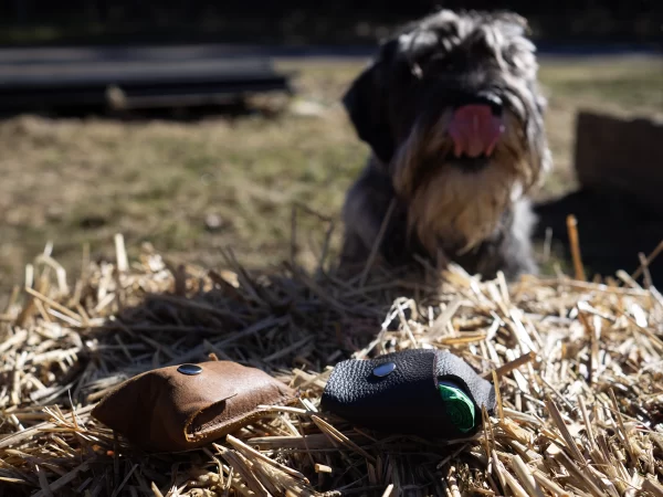 odinis maišelių | skanėstų dėklas