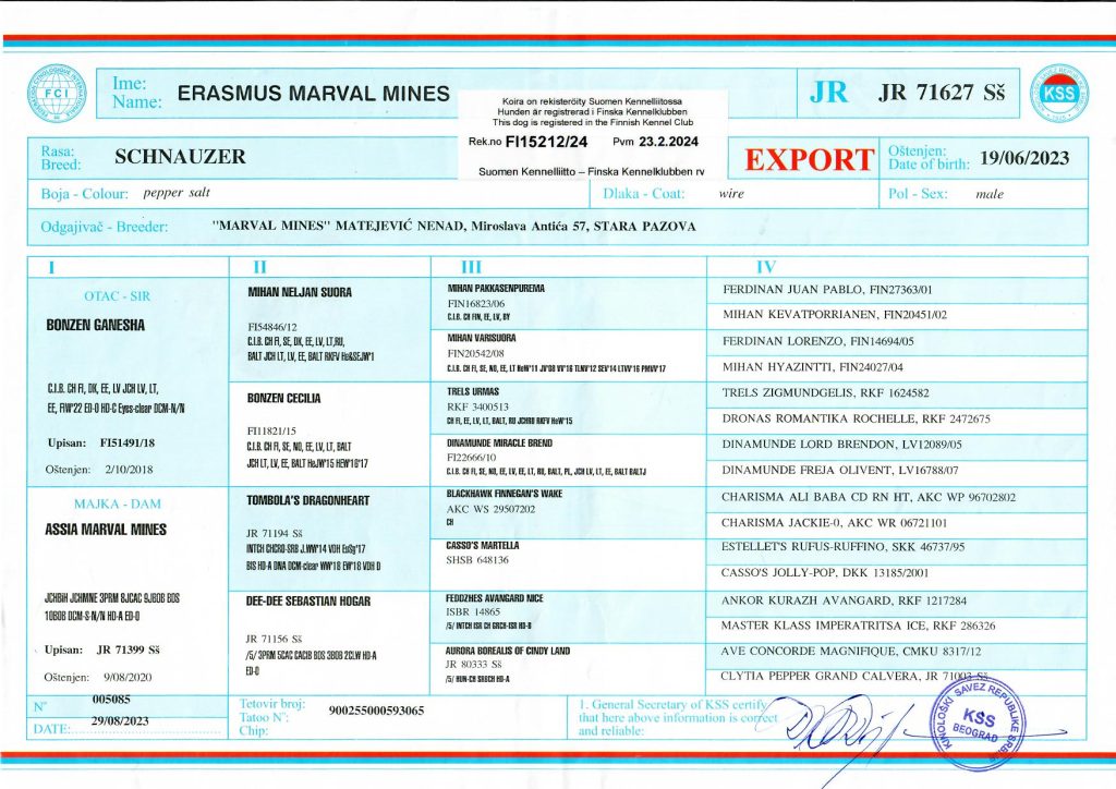 Erasmus_Marval_Mines_pedigree