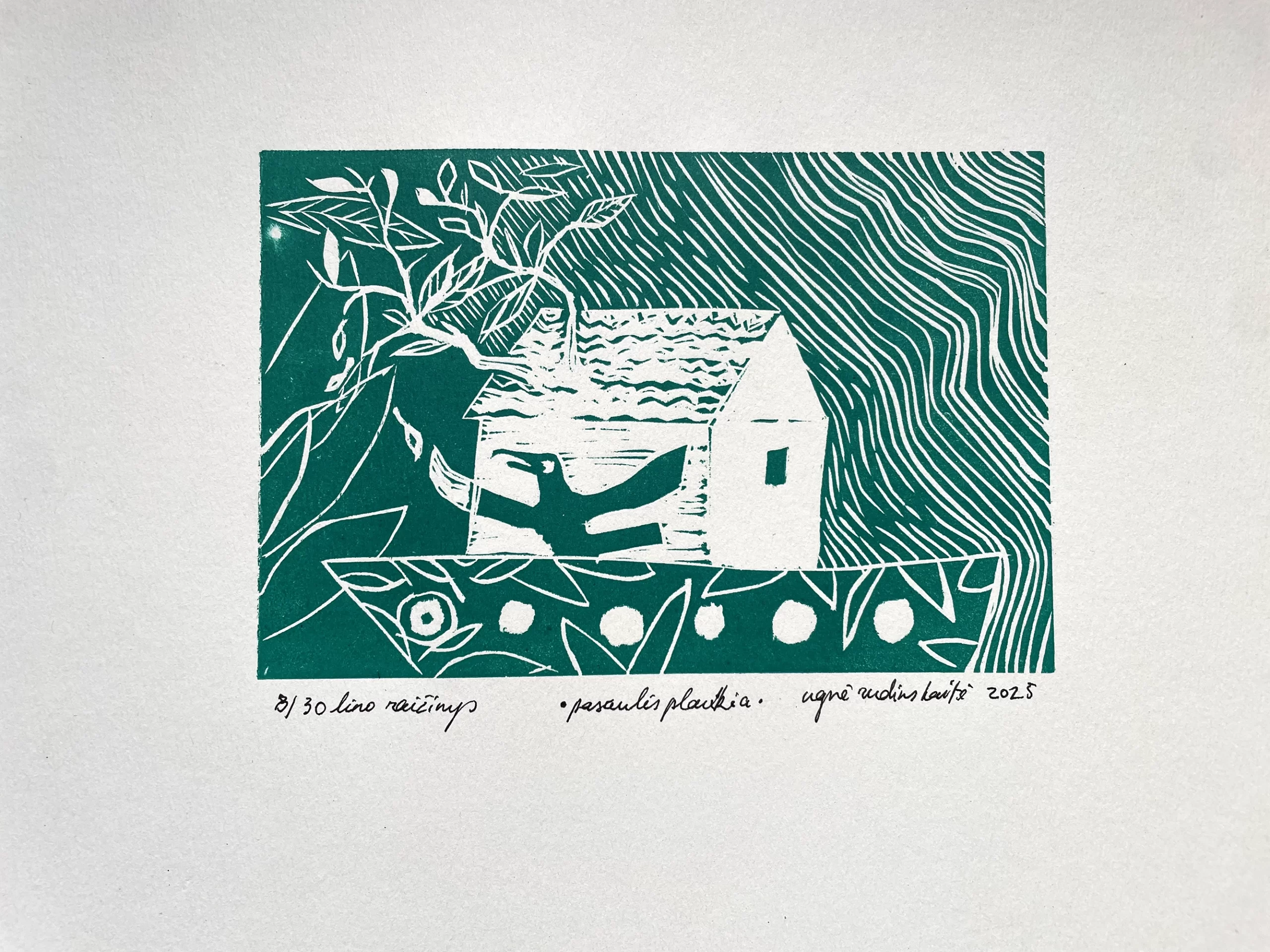 lino-raizinys-10x15-pasaulis-plaukia-rudinskaite